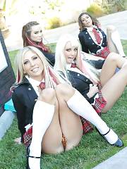 Chicks On Grass