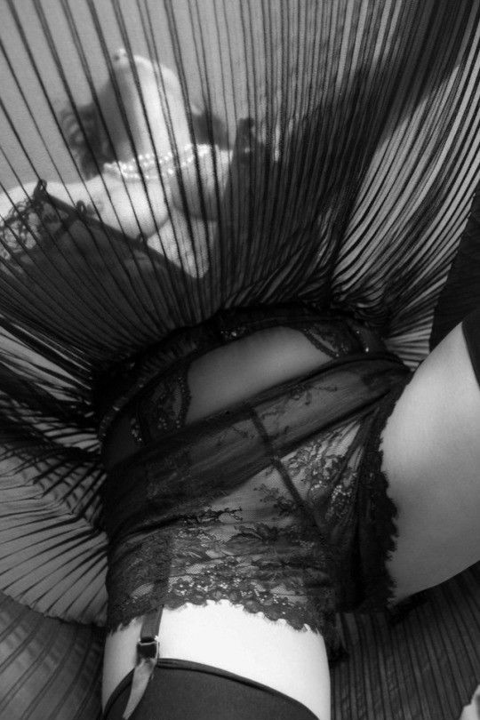Up-skirt Panties