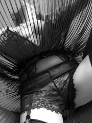 Up-skirt Panties