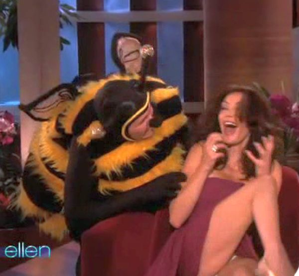 Teri Hatcher Panty Under Skirt On Ellen