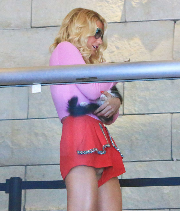 Kesha Pantie Peek Up Her Tiny Shorts